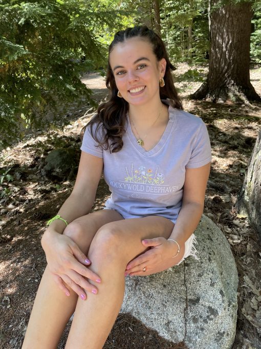 Ladies Embroidered V-Neck Tee - Image 4