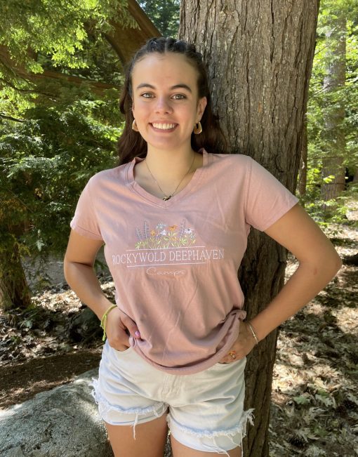 Ladies Embroidered V-Neck Tee
